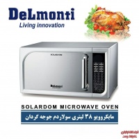 microwavedelmonti2
