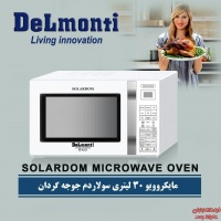 microwavedelmonti3